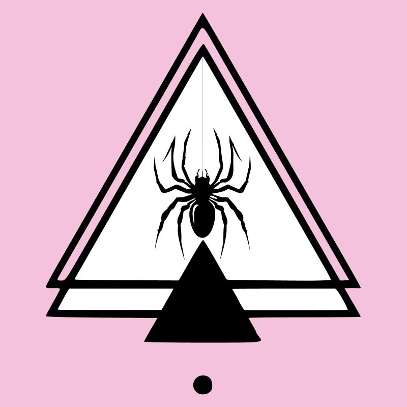 Spinne
