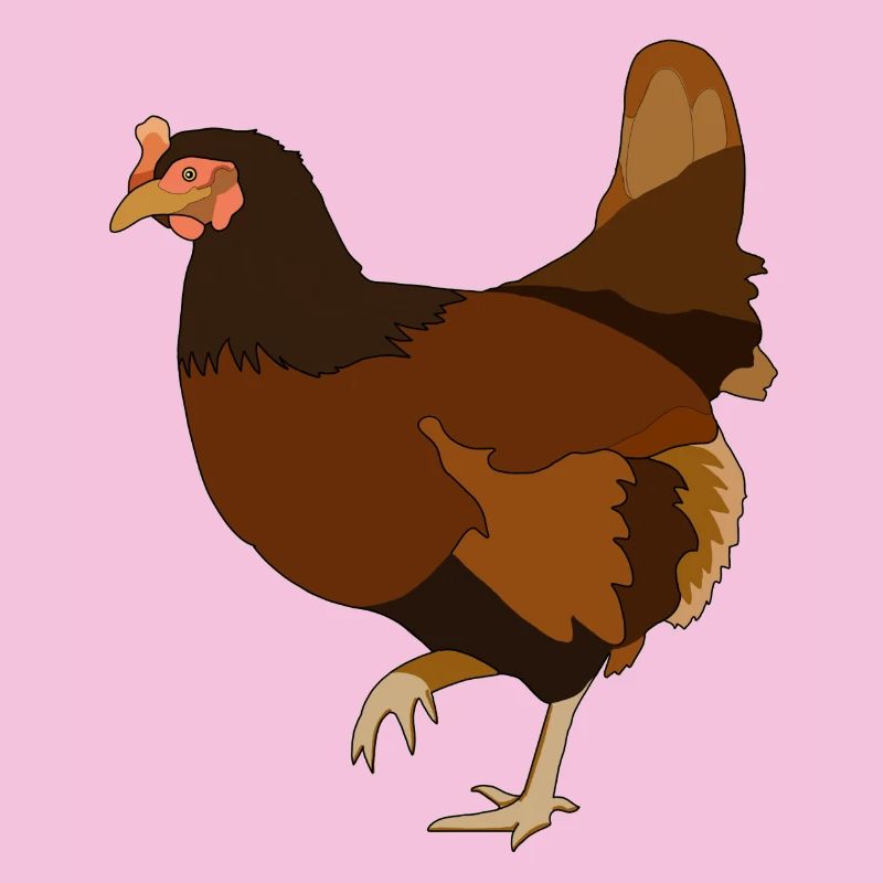 Poulets Poulets