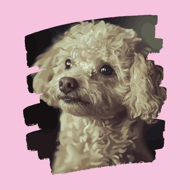 Caniche