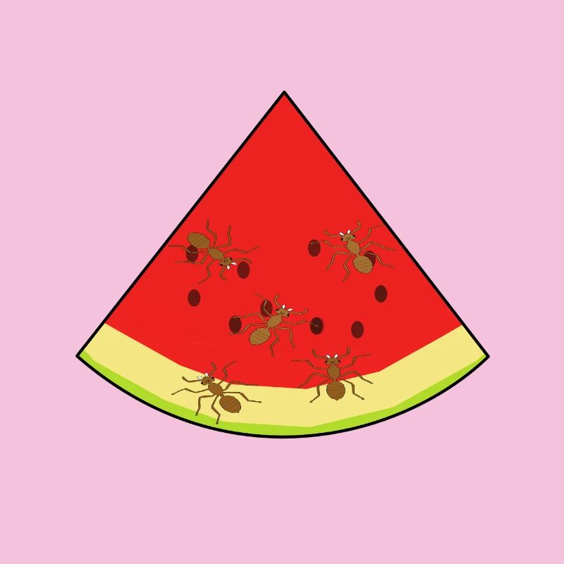 melon, summertime, ants, ant, insect