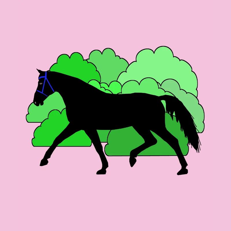 Pferd Pferde Rappe