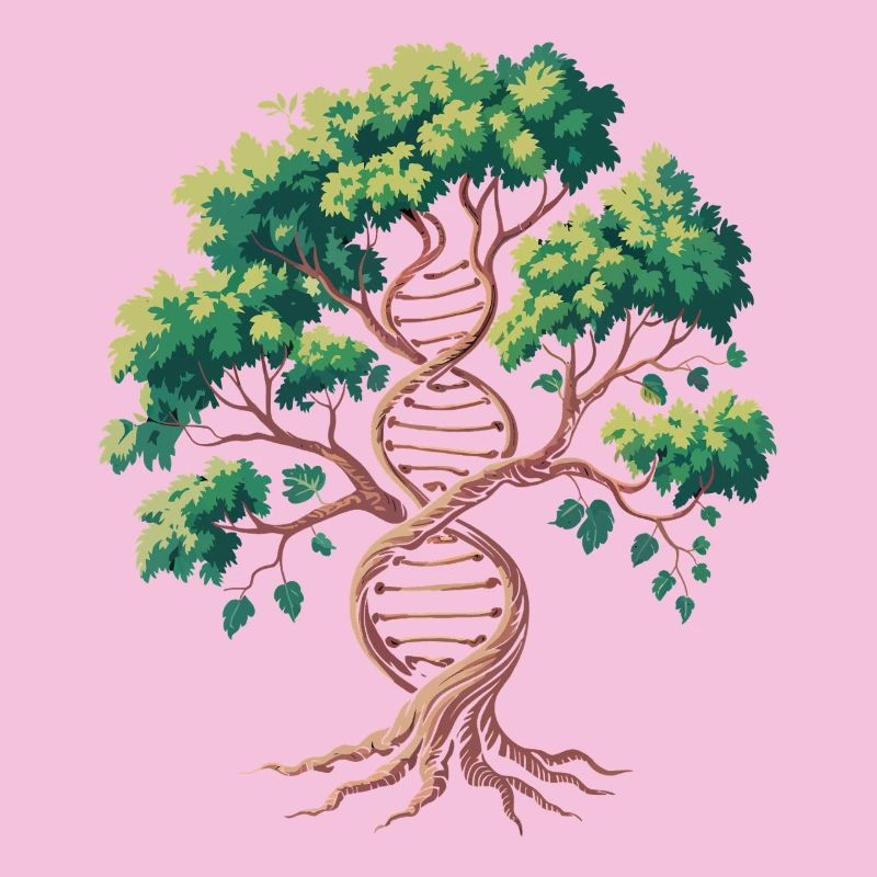 Lebensbaum DNA Verschmelzung