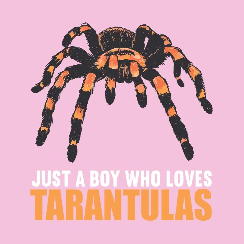 Tarentules Tarentule