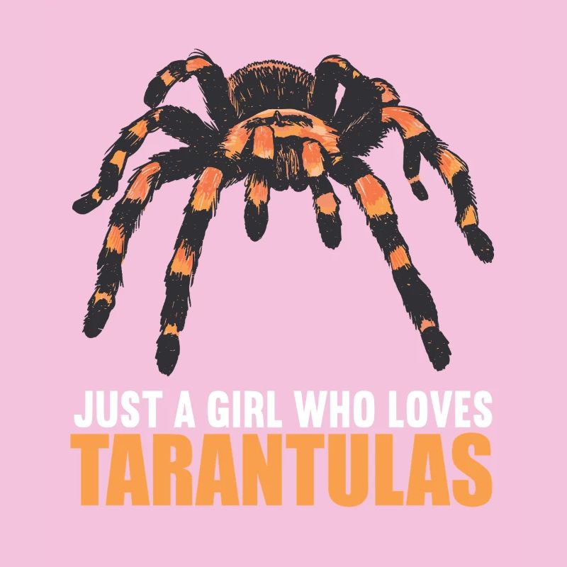 Tarantulas Tarantula