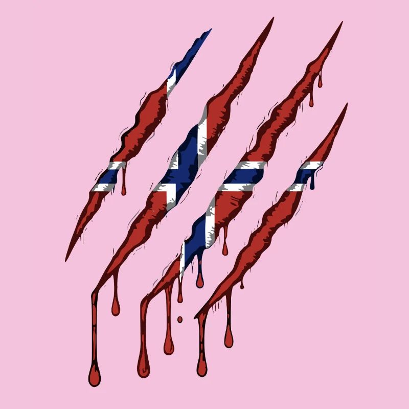 Norway Claw Norge Flag Scratch Mark
