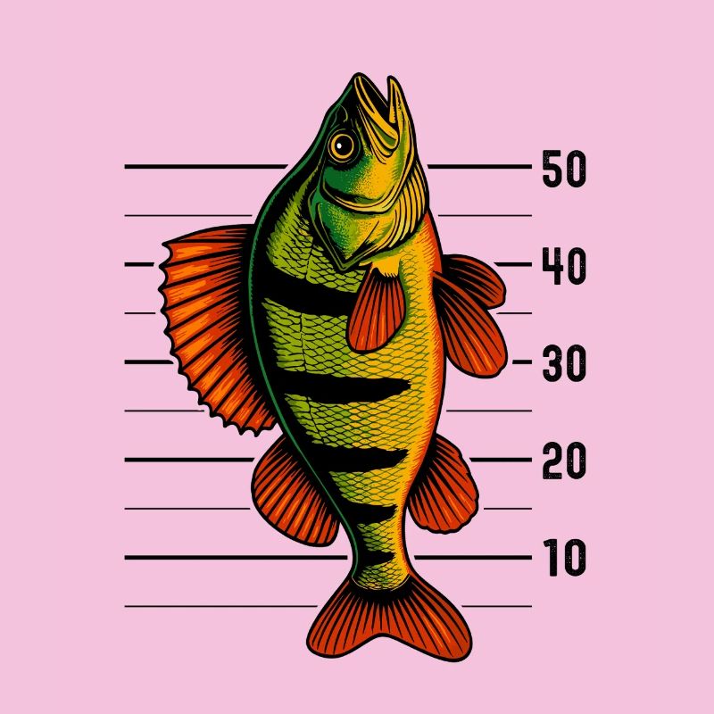 Perch Perch Perch Perch Fishing Perch Perch Perch