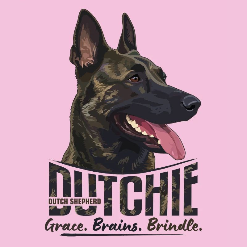 Dutchie - Holländischer Schäferhund