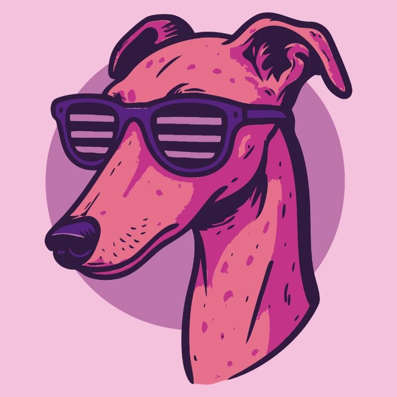 Windhund, Galgo