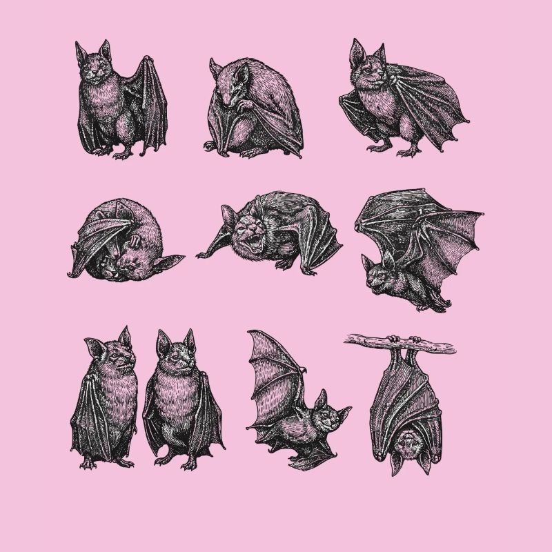 Night Bat Silhouettes Pattern