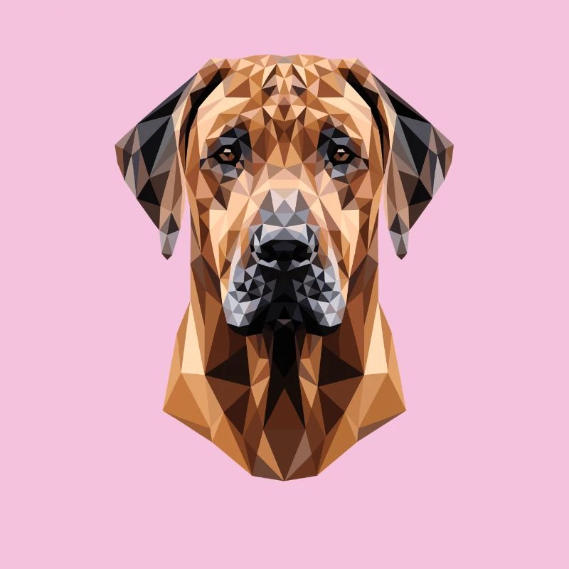 Rhodesian Ridgeback Jagdhund Hunde Stolz Ridgeback