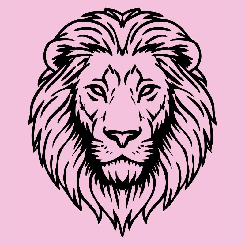 lion illustration