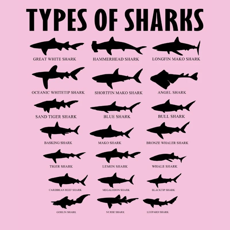 Tableau des types éducatifs d’espèces de requins