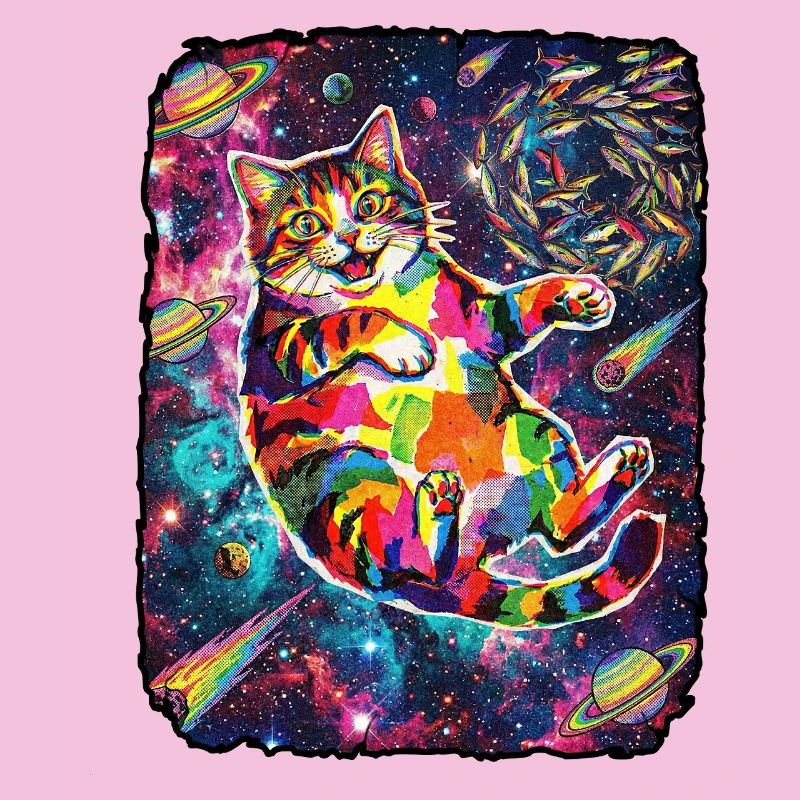 L’espace des chats drôles