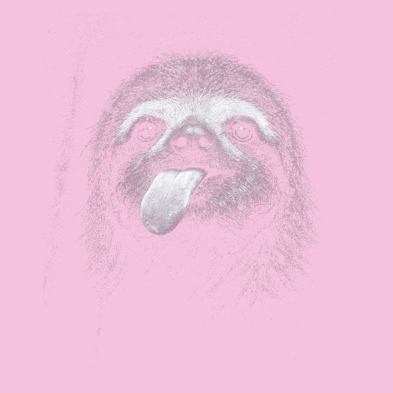 Smiling sloth in night contrast