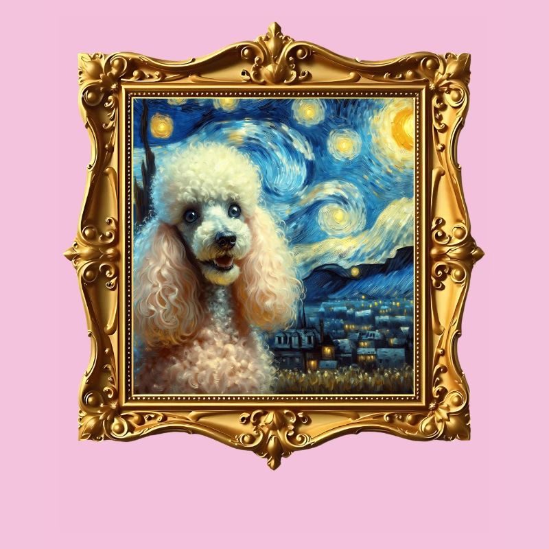 Nuit étoilée de caniche