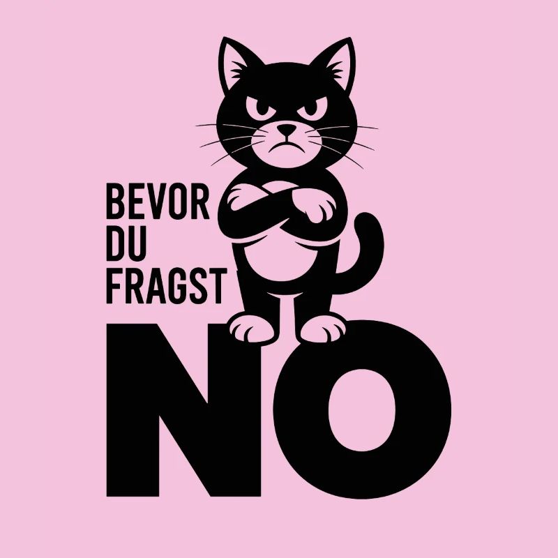 Bevor Du Fragst No Lustige Grumpy Katze