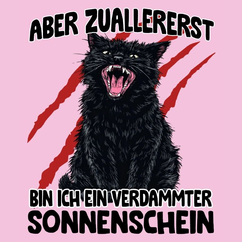 Schwarze Katze Goblin Mode aggressive Katze Zoomie