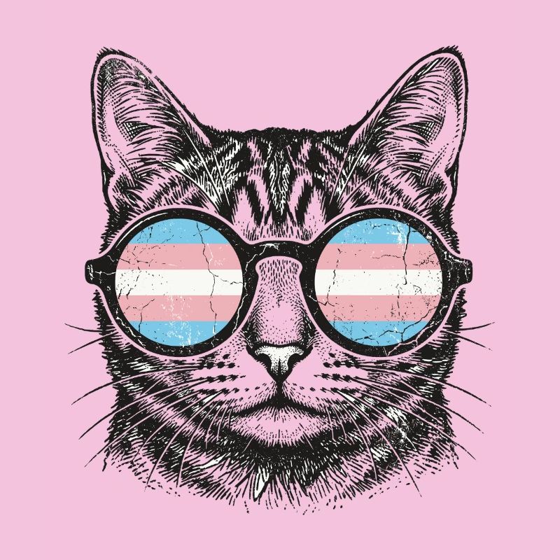 LGBT-Pride-Monat – Trans-Pride-Katze