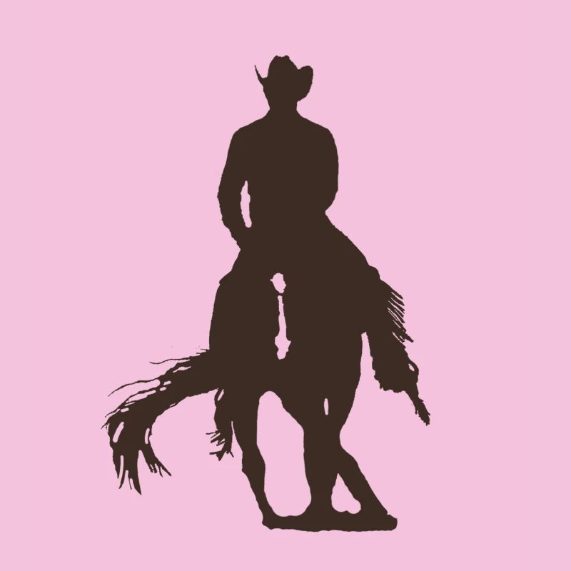 Spin - Cowboy