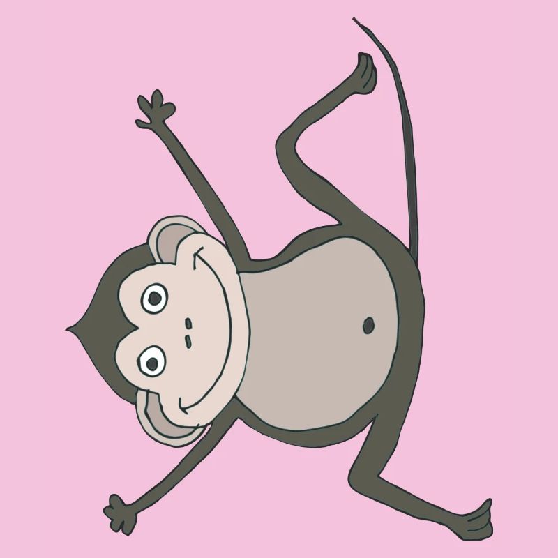 singe drôle