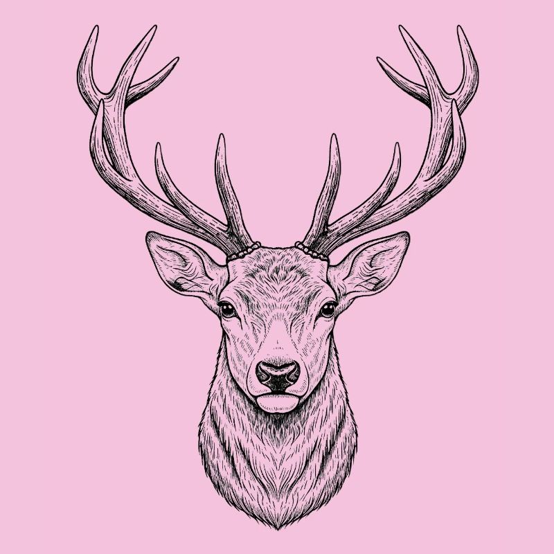 Hirsch