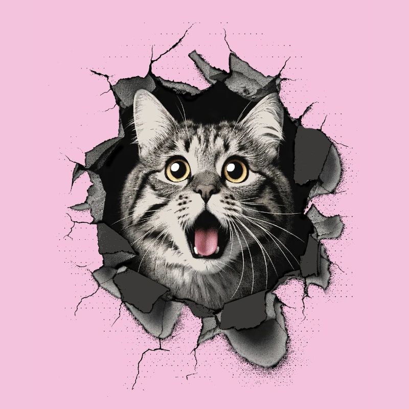 Cat Scared Wall Breakthrough Cracks