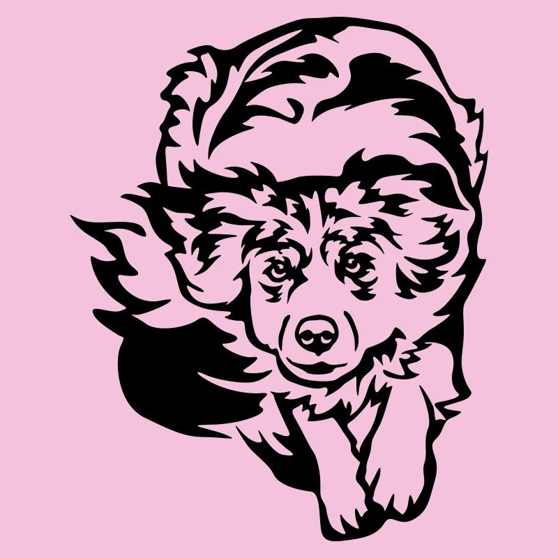 Australian Shepherd