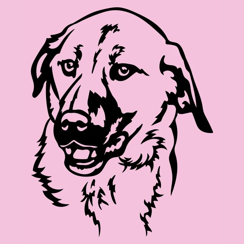 Tête de Kangal