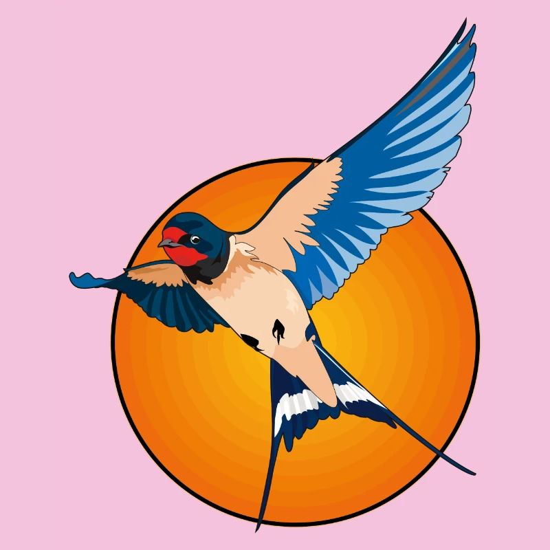 Schwalben 2