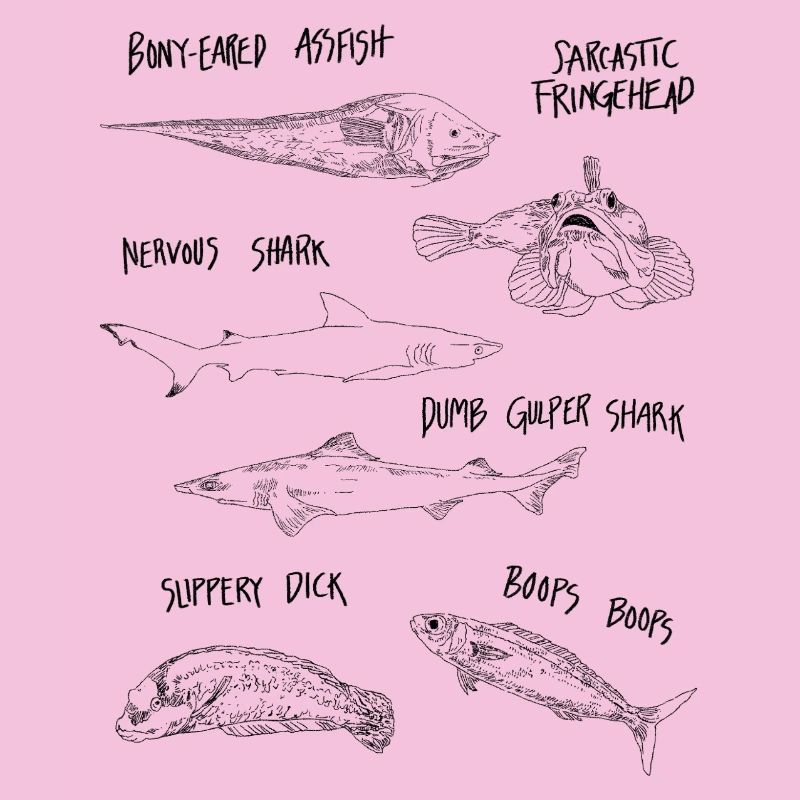 FUNNY FISH