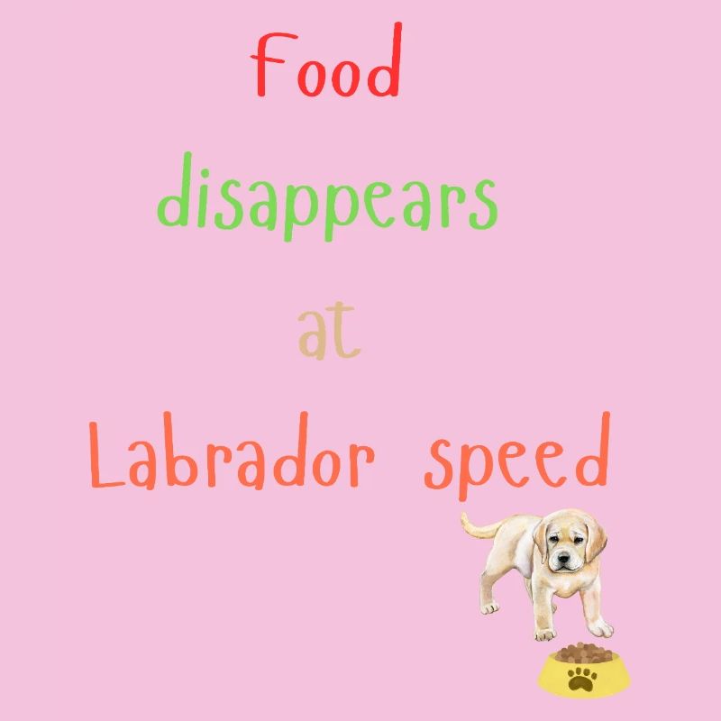 Labrador Essen Verschwinden Verspieltes Design