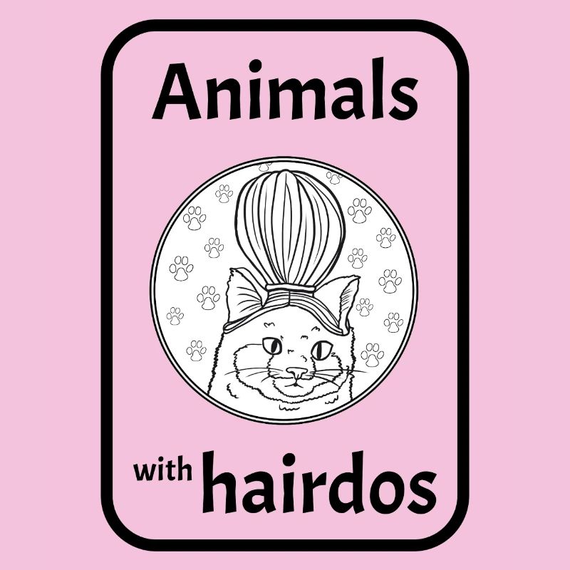 Chat avec coiffure