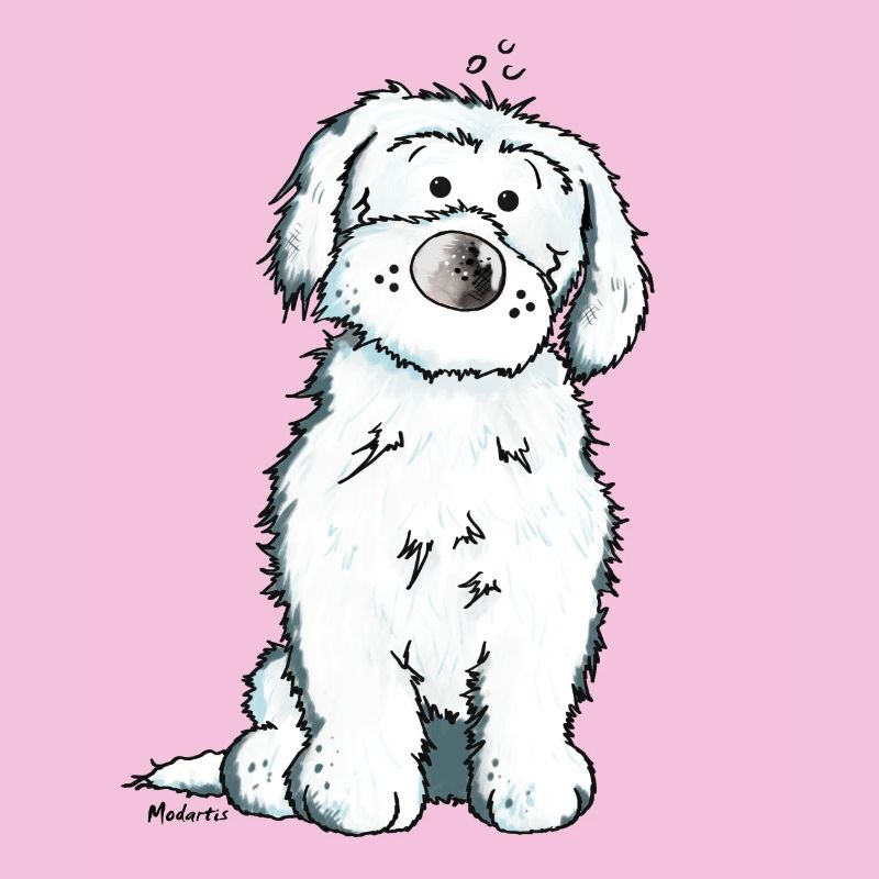 Pfiffiger Malteser - Hund