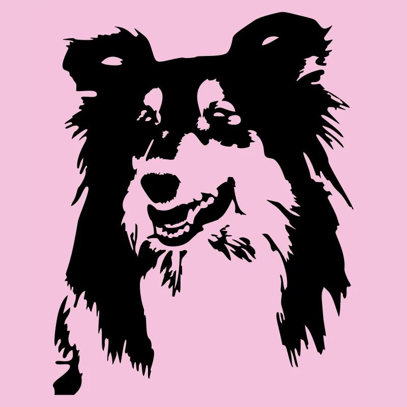 Collie Kopf