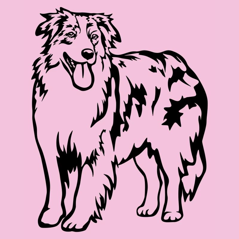 Australian Shepherd