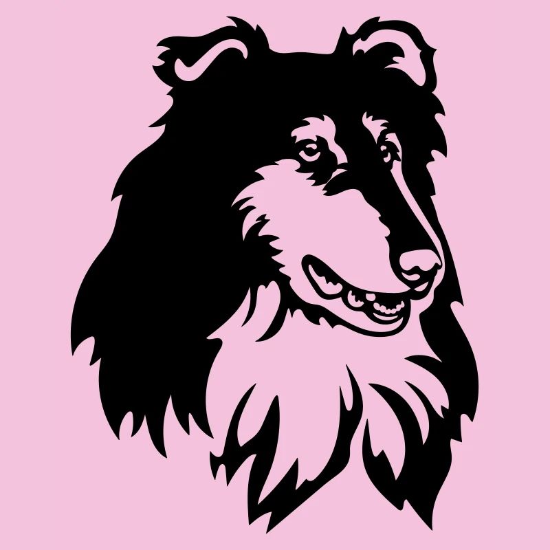 Collie Head