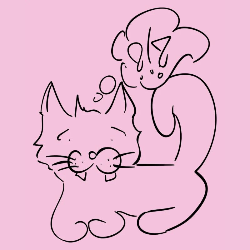 Katze