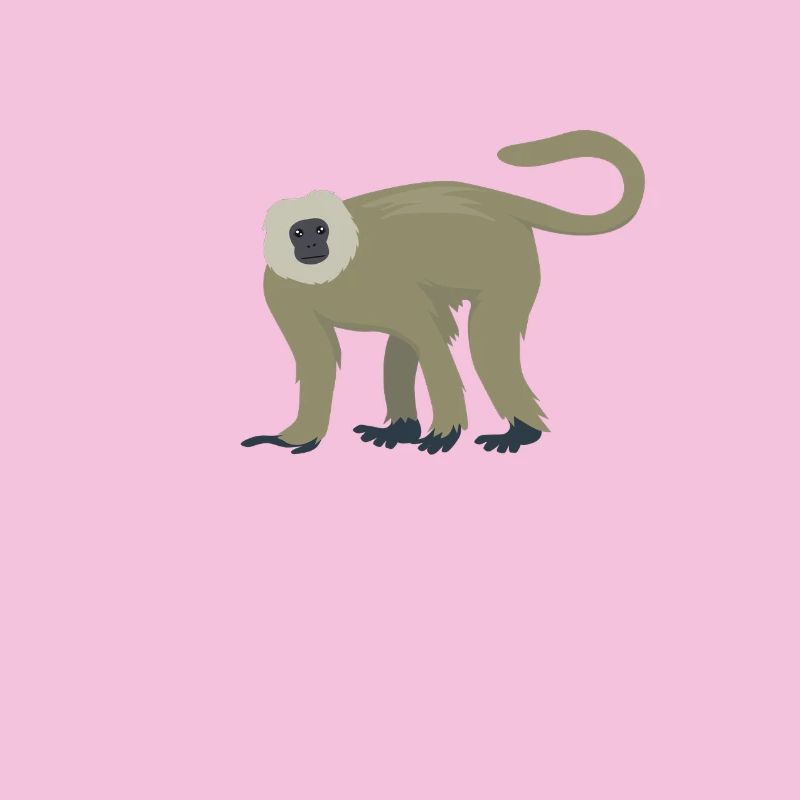 Eleganter Langur