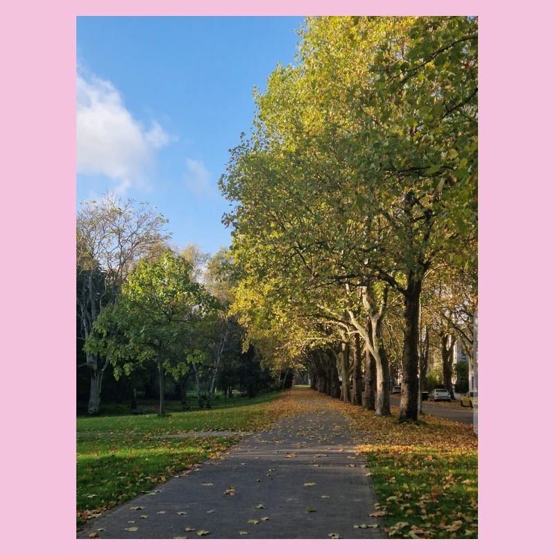 Autumn path through Lauballee
