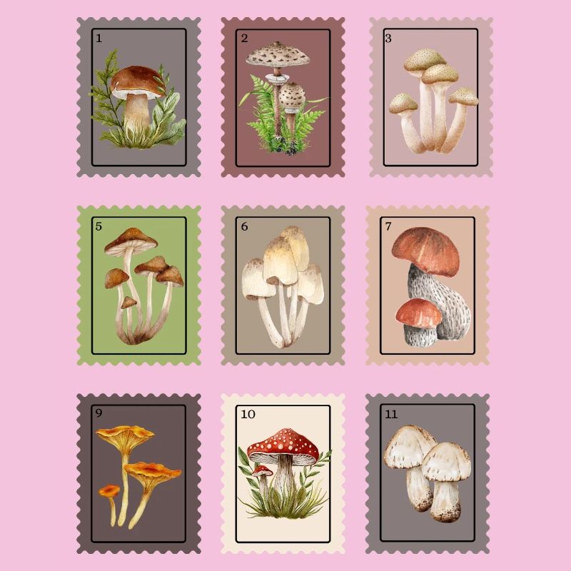Pilz Design 