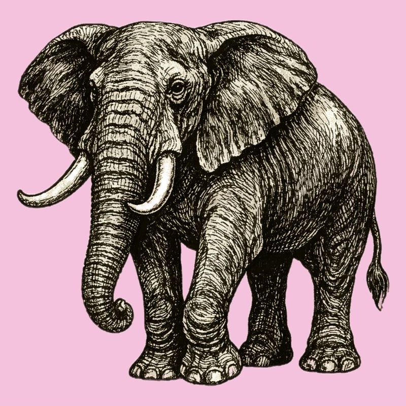 Vintage Elefant Illustration – Kraft & Natur