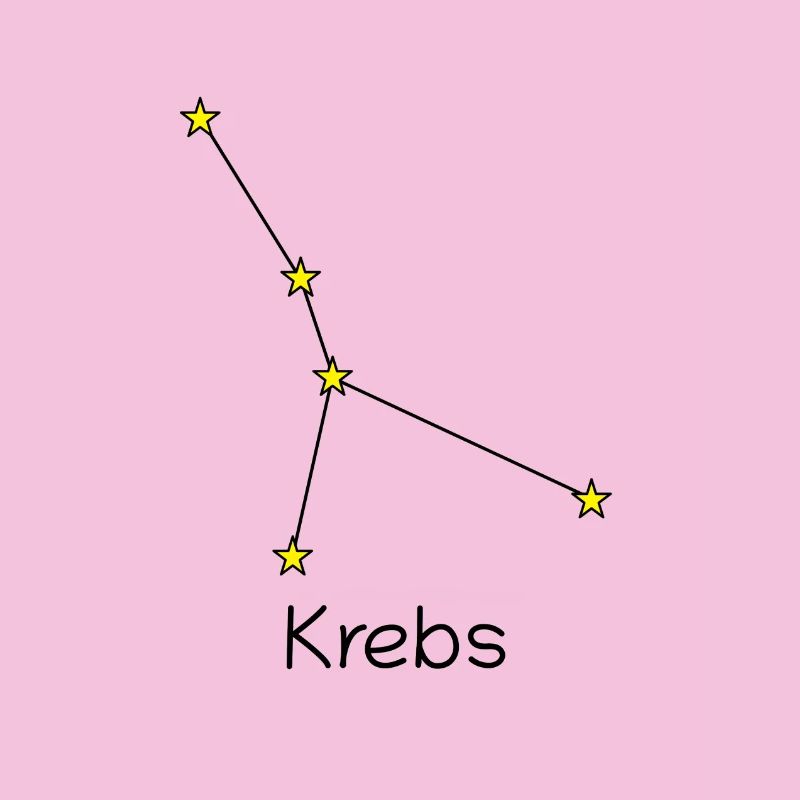 Sternzeichen Krebs