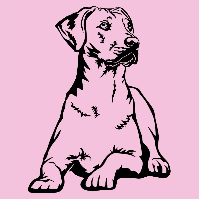 Rhodesian Ridgeback