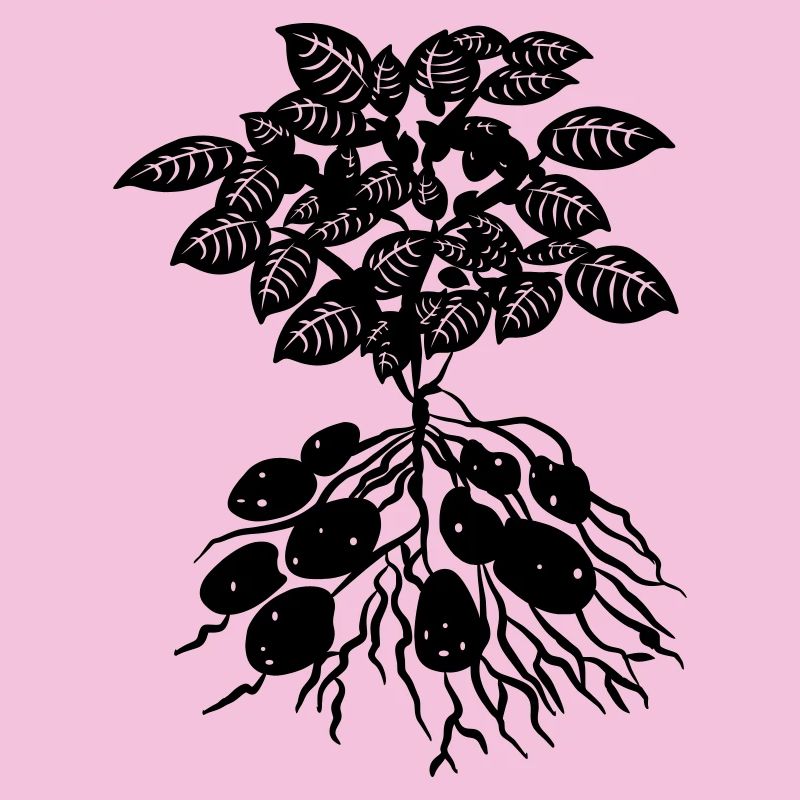 Logo der Kartoffelpflanze