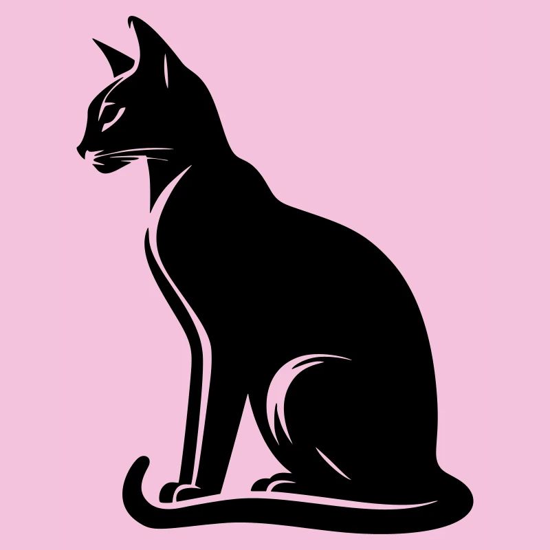 Chat abyssin