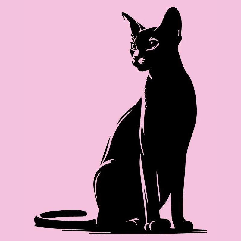 Chat abyssin