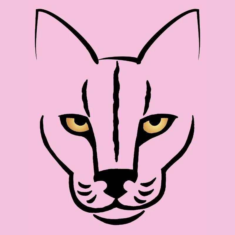Le regard du chat