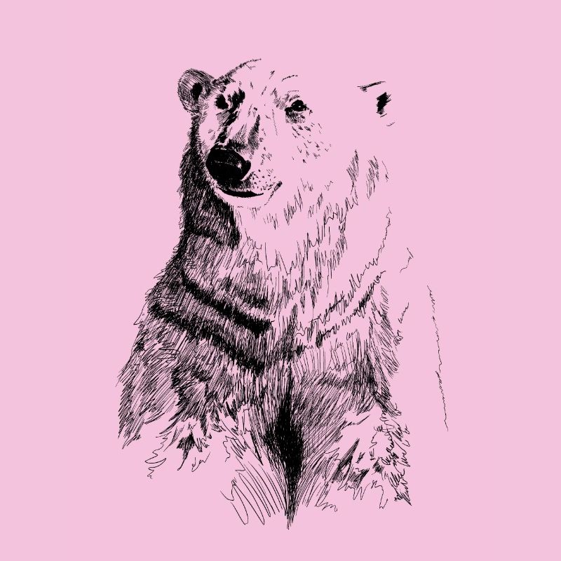 Eisbär