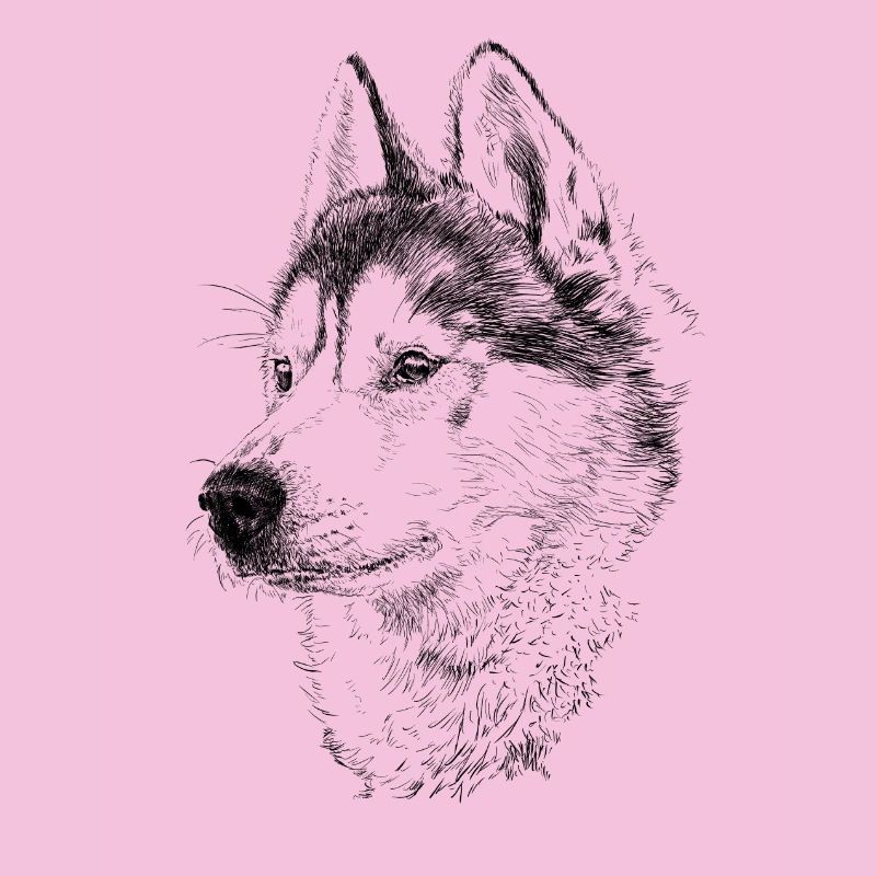 Husky