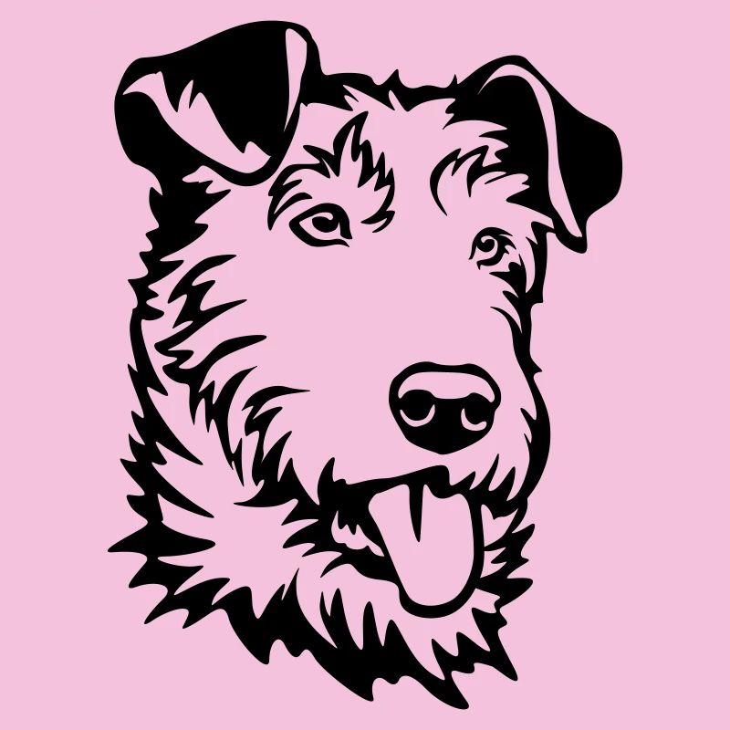 Irish Terrier Head